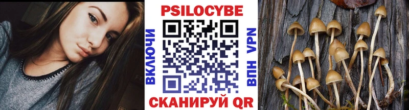 Галлюциногенные грибы прущие грибы  Гулькевичи 